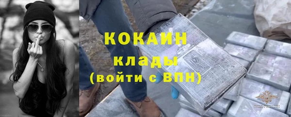 мдпв Порхов