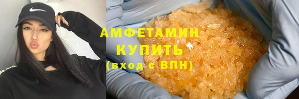 индика Переславль-Залесский