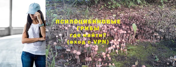 индика Переславль-Залесский