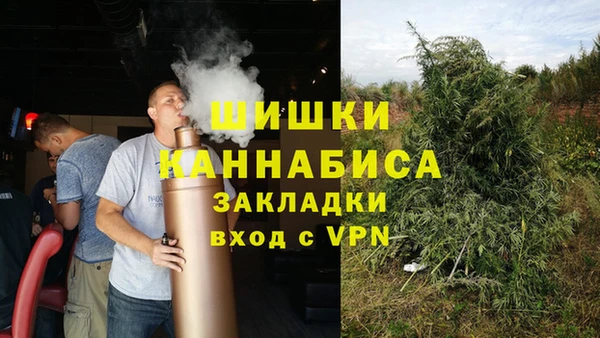 стаф Пестово
