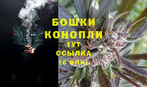гидра Белоозёрский