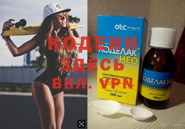 индика Переславль-Залесский