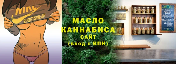 индика Переславль-Залесский