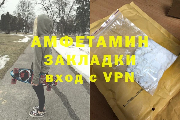 индика Переславль-Залесский