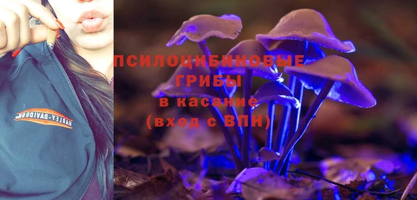 стаф Пестово